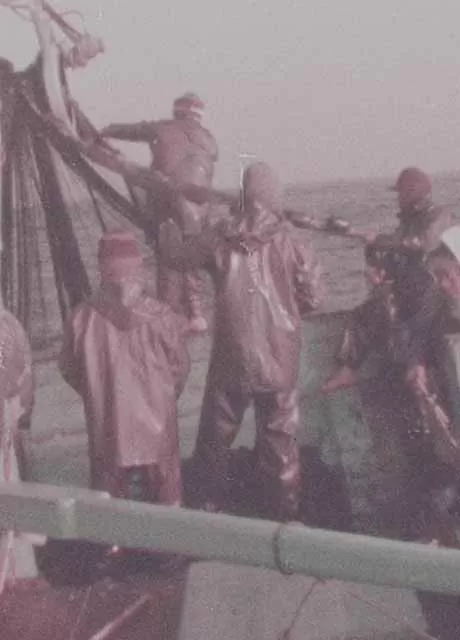 芬芳宝岛系列：乌鱼来的时候